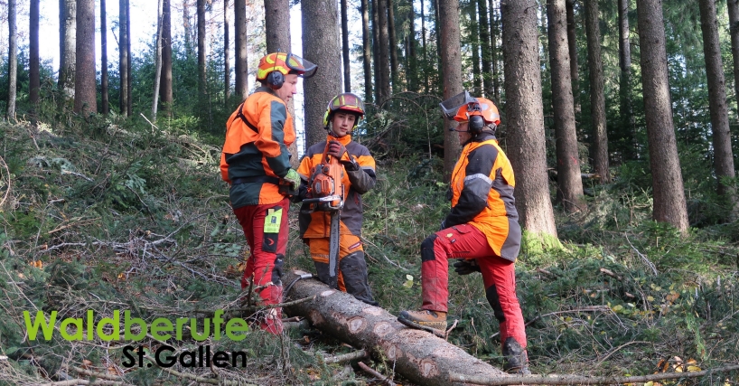 Waldberufe im Kanton St.Gallen